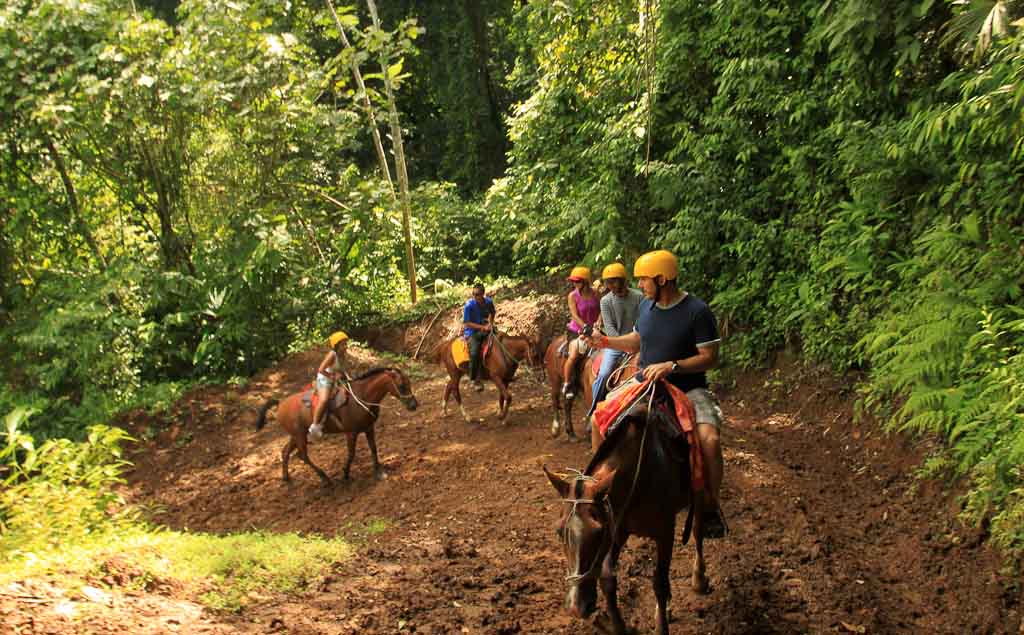 los suenos horses 5.jpg