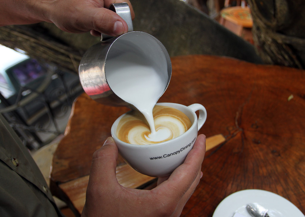 treehouse coffee pour 7.jpg