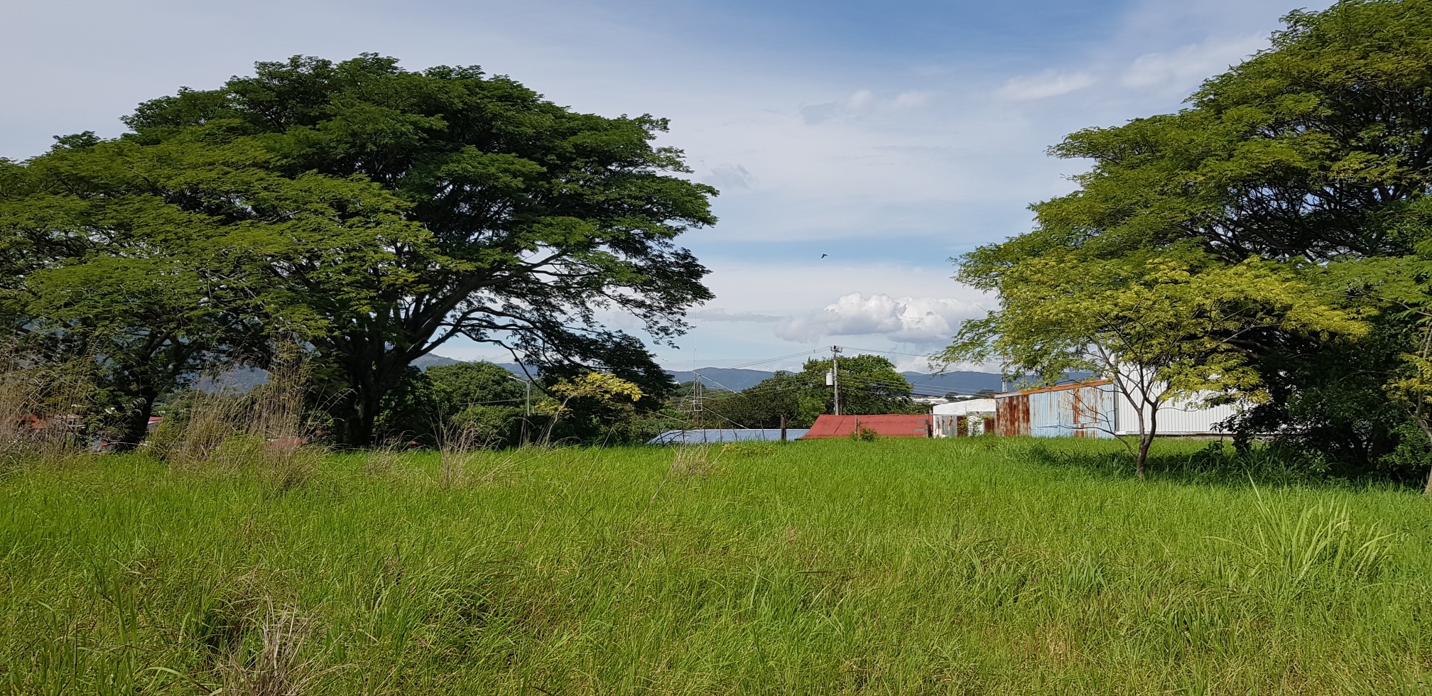 residential development site in alajuela view 001.jpg