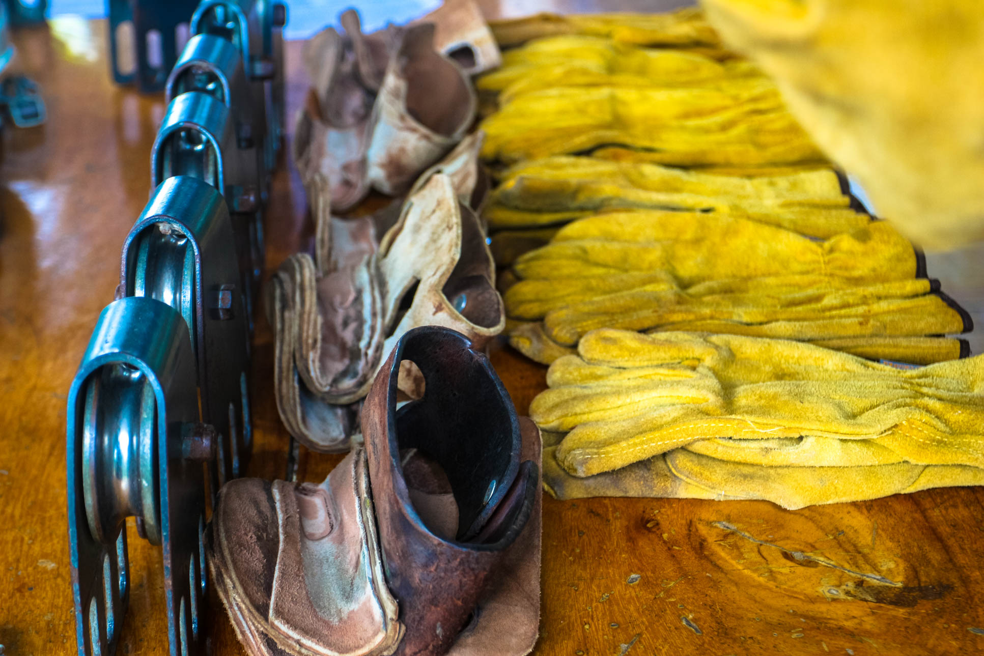 Gear Osa Palmas Canopy Tour