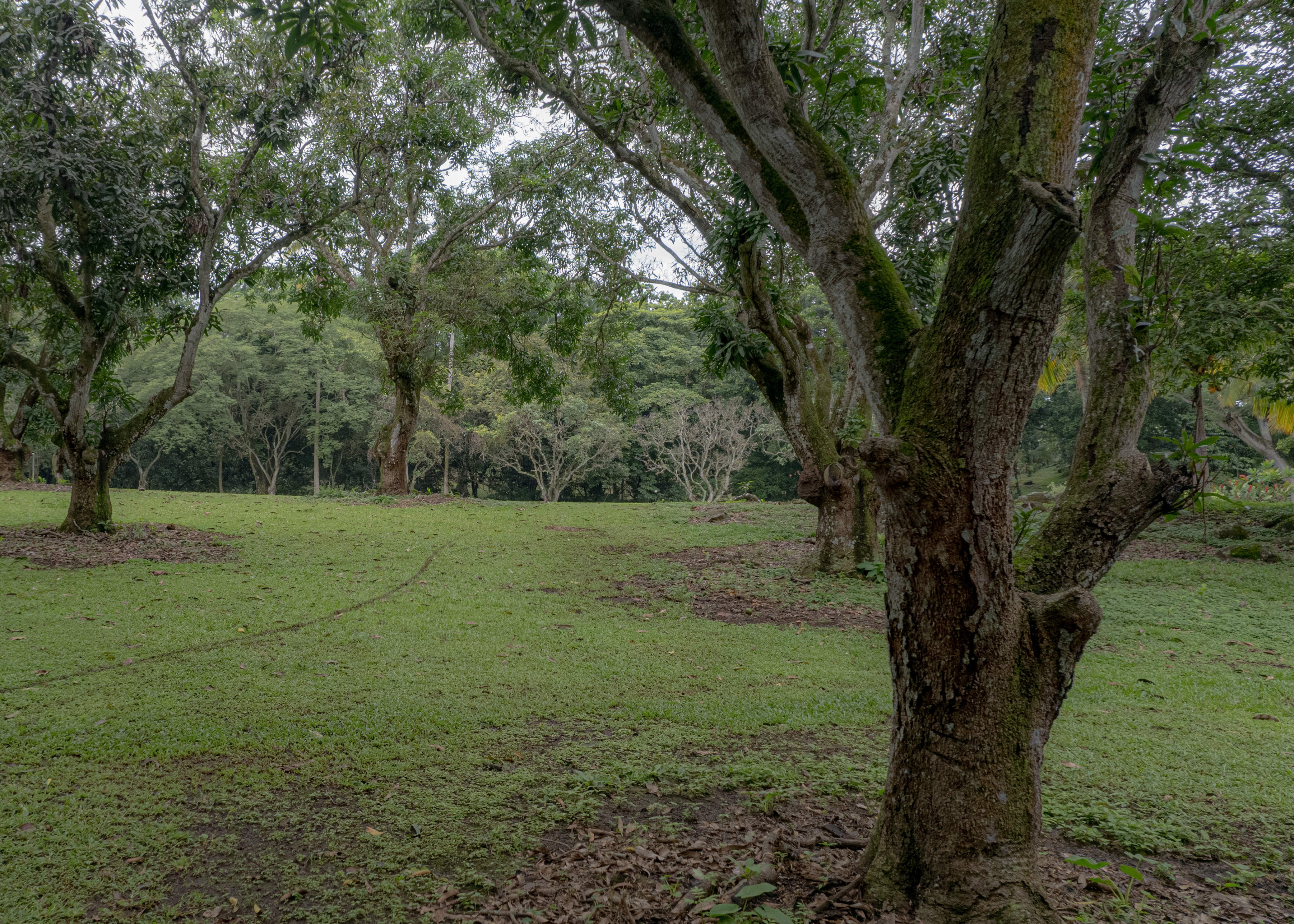 land for residential or industrial use near alajuela airport sjo view 005.jpg