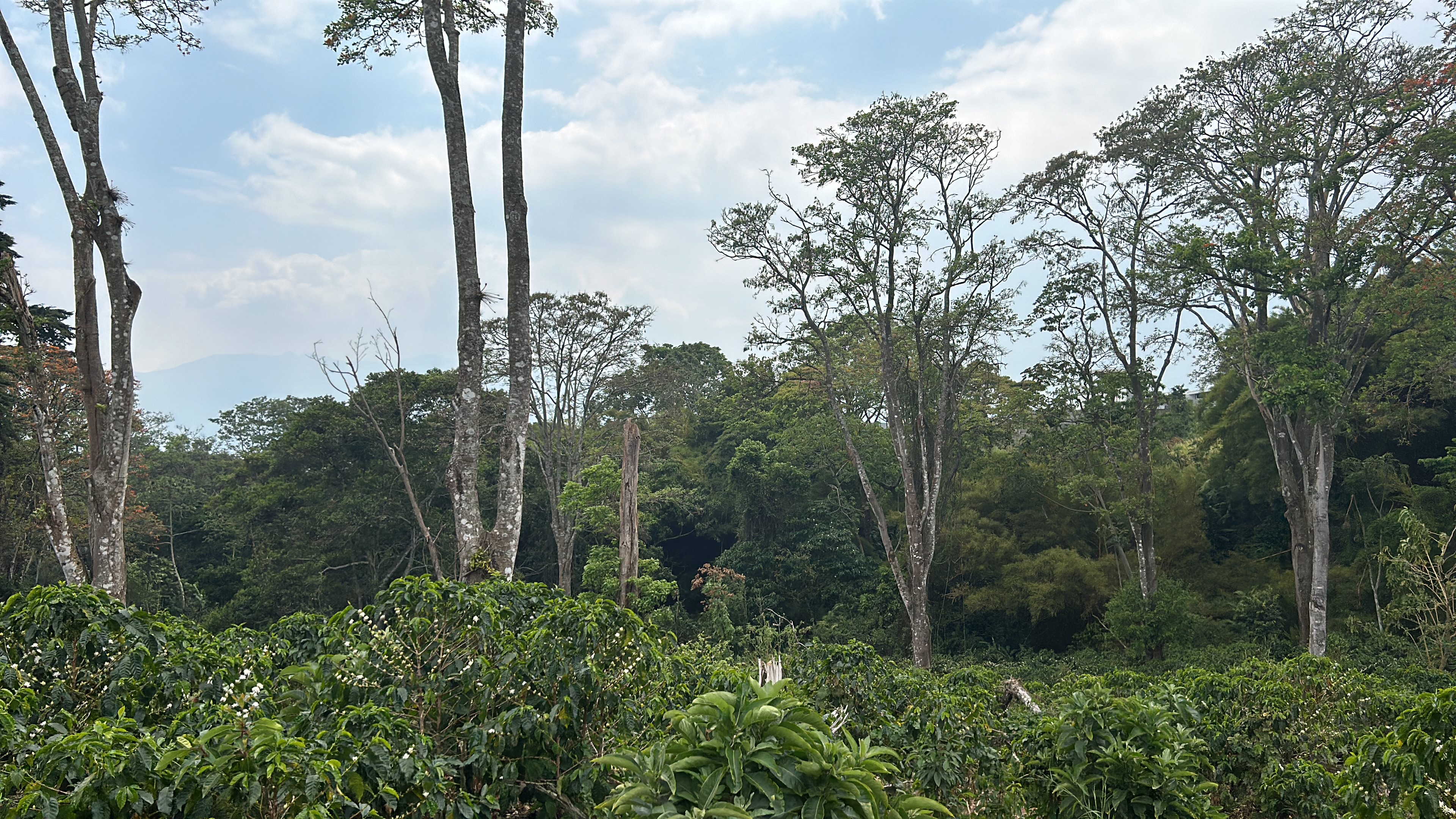 cul de sac residential development lot view 006.jpg