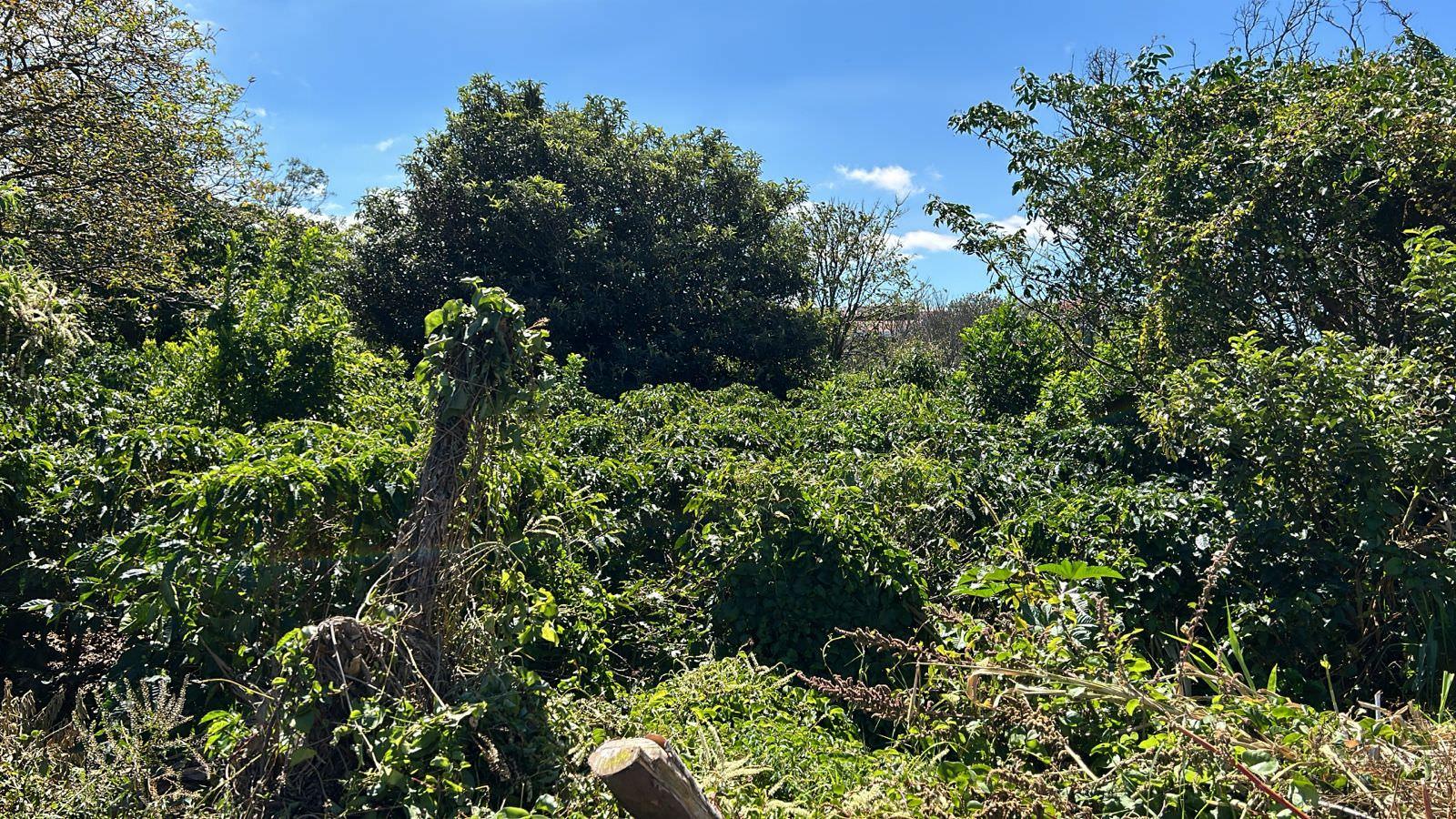 convert coffee farm into a mixed use development complex view 002.jpeg